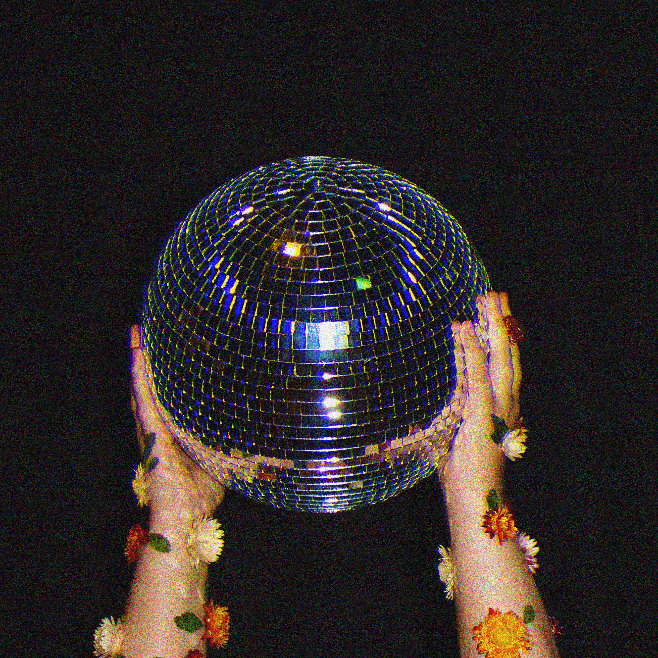 newsletter im↑↑age